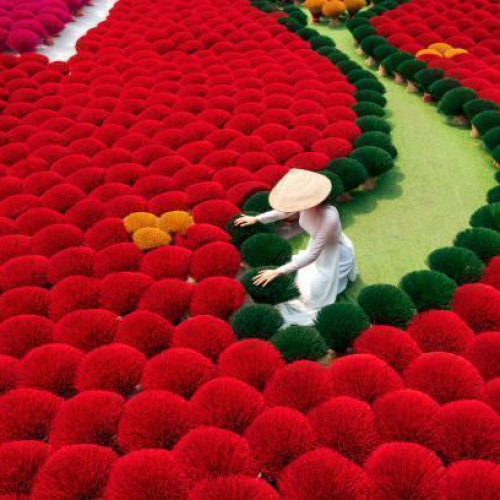 Northern Vietnam with Ninh Binh 8 Nights/9 Days