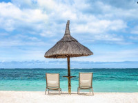 b41aa4a6 bdf7 4db3 b795 0fd3fd8c14aa