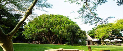 4* Falaza Game Park & Spa - Hluhluwe Package (2 Nights)