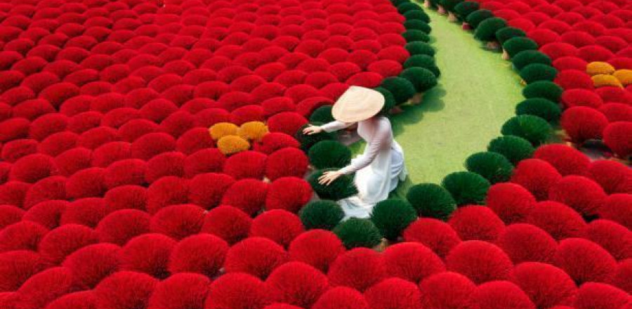 Northern Vietnam with Ninh Binh 8 Nights/9 Days