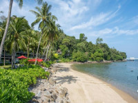 239d7424 5e26 45c9 a5a0 04dd21a38b19