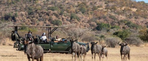 4* Safari Plains - Waterberg Package (2 Nights)