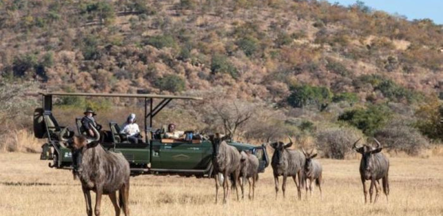 5* Safari Plains - Waterberg Package (2 Nights)