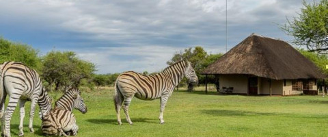 4* Mongena Private Game Lodge - Dinokeng Game Reserve Package (2 nights)