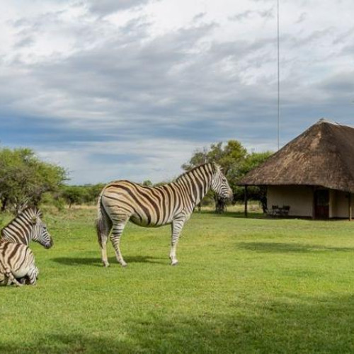 4* Mongena Private Game Lodge - Dinokeng Game Reserve Package (2 nights)