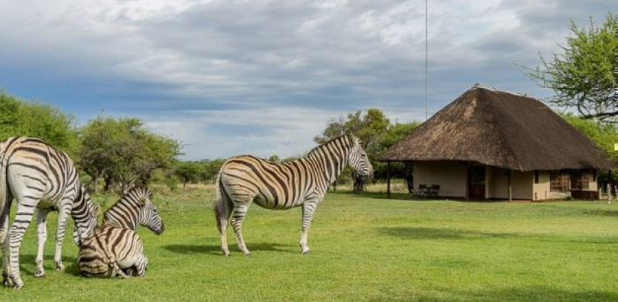 4* Mongena Private Game Lodge - Dinokeng Game Reserve Package (2 nights)