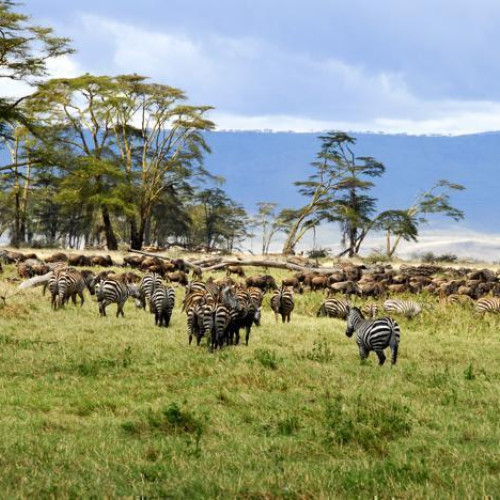 6 Days Northern Safari Circuit - Tanzania Package (5 Nights)
