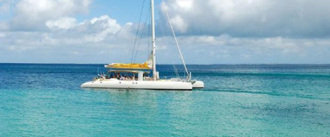 Shared Full Day South East Coast Catamaran Cruise