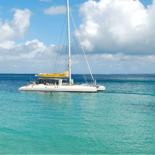 Shared Full Day South East Coast Catamaran Cruise