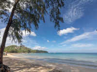 54adc8b5 1039 4004 b425 ffc5dcb0f54e