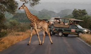 4* Kruger Gate Hotel - Kruger National Park Self-Catering Package (2 Nights)