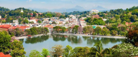 5 Nights of Classic Sri Lanka Charm, Adventure, and Timeless Beauty!