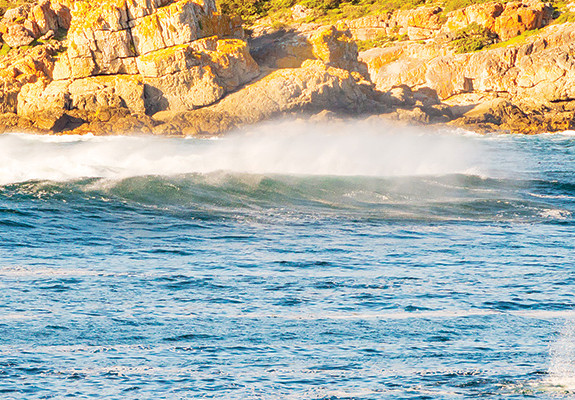 Cape Coast Discovery Package (8 Nights)