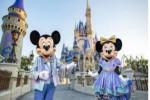 wdw1