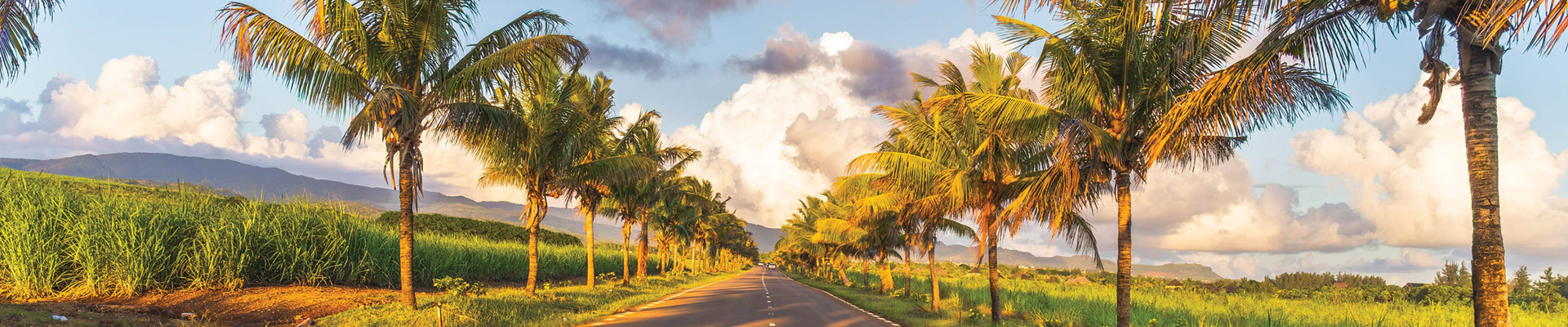 Mauritius - Full Day Private Tour