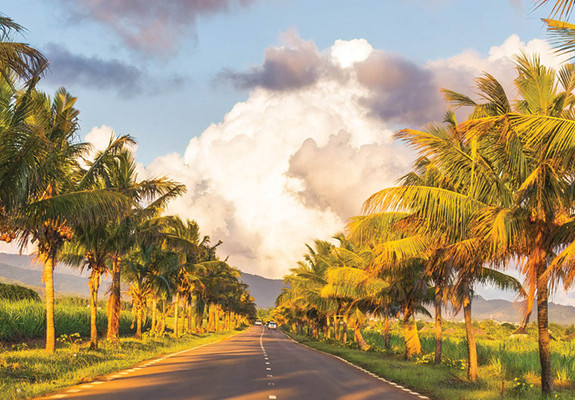 Mauritius - Full Day Private Tour