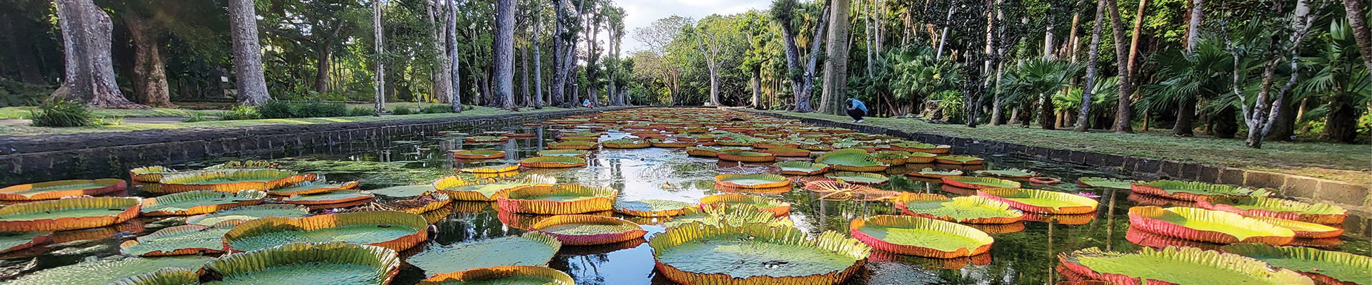 Mauritius - Shared Charming North Tour