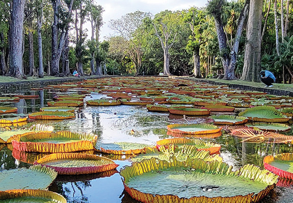 Mauritius - Shared Charming North Tour