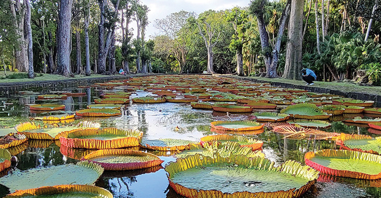 Mauritius - Shared Charming North Tour