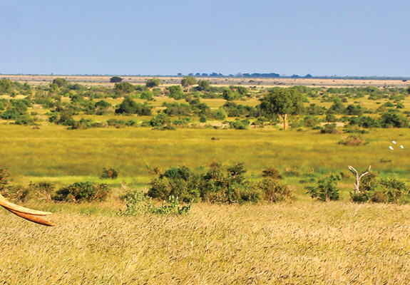 Mombasa Beach & Tsavo Bush - Kenya Combo (7 Nights)