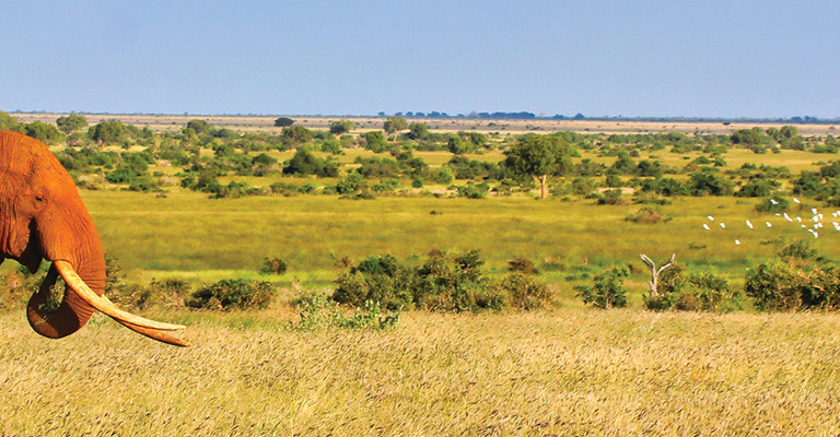 Mombasa Beach & Tsavo Bush - Kenya Combo (7 Nights)