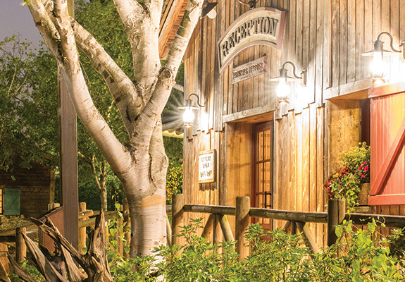 Paris and Disney's Davy Crockett Ranch Experience - France Package (5 Nights)