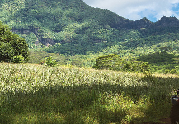 Quad Bike Discovery - Mauritius Adventure