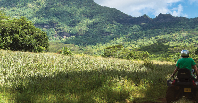 Quad Bike Discovery - Mauritius Adventure