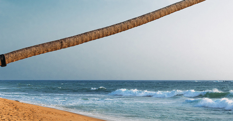 Sri Lanka Honeymoon Escape: 11 Unforgettable Nights