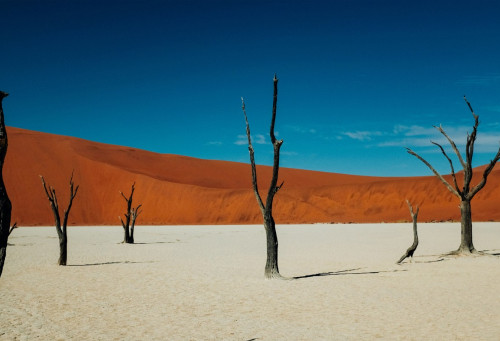 Sossusvlei
