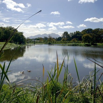 Landscapes