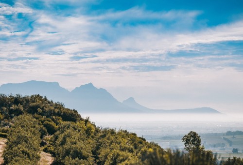 Stellenbosch