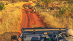 TH Blog banner v2