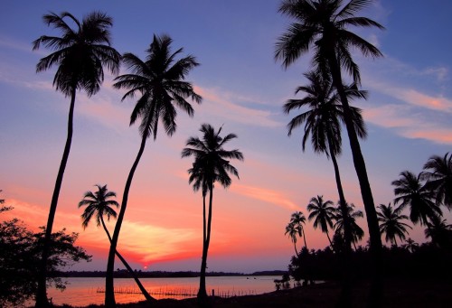 TH 2K banners SRI LANKA v2