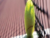 Tennis 1 1920x600