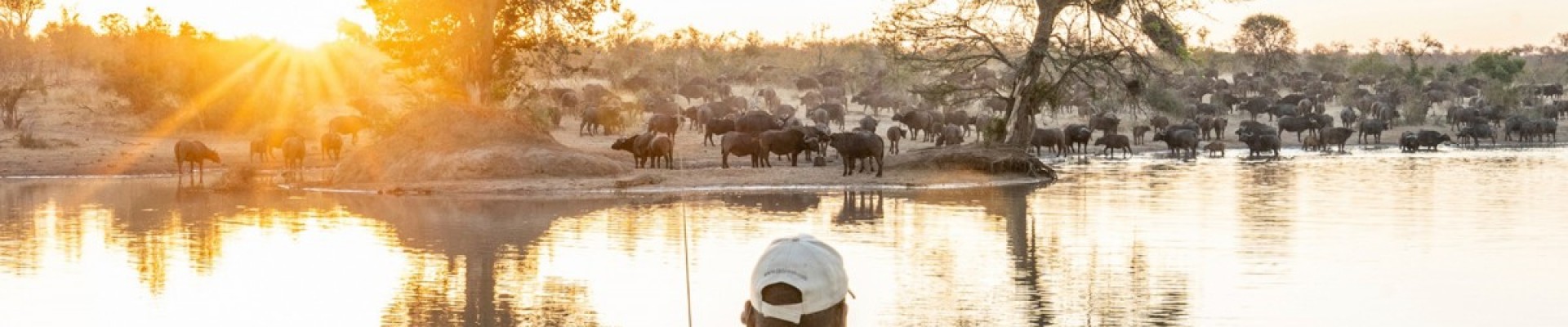 5* Tintswalo Safari Lodge - Kruger National Park Package (2 Nights)