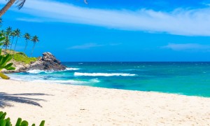 Tropical beach in Sri Lanka banner iStock 498615566