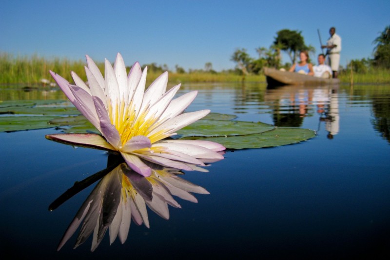 Xigera Safari Lodge Okavango 2