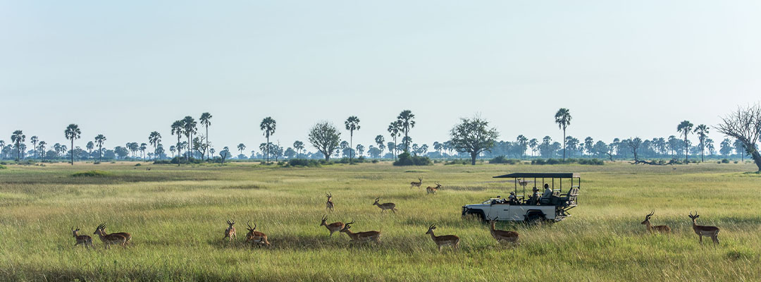 Xigera Safari Lodge