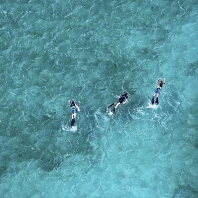 Snorkeling