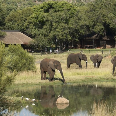 Game Viewing