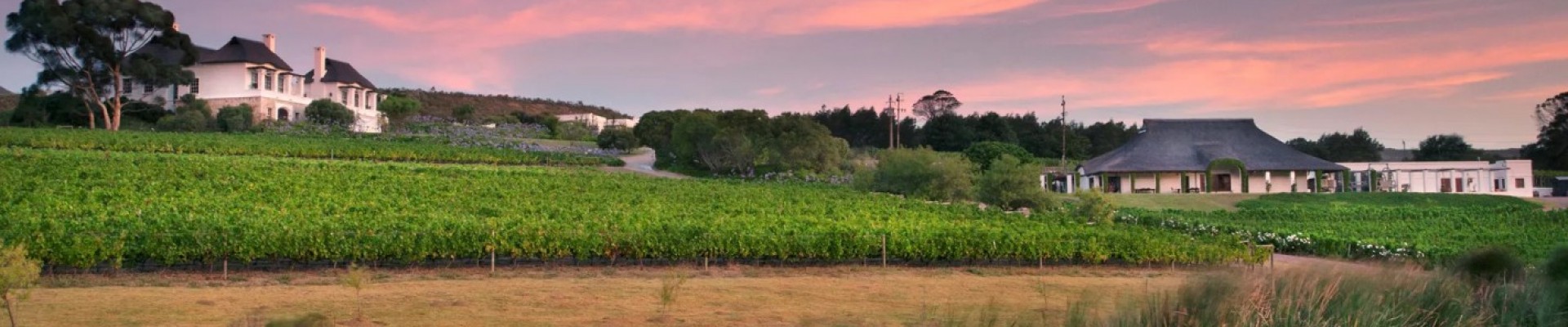 Bouchard Finlayson Winery and Cellars Experience - Hermanus