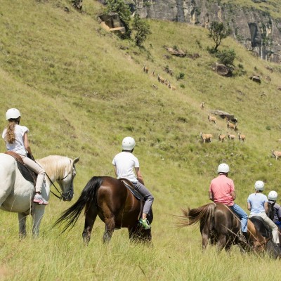 Horse Riding