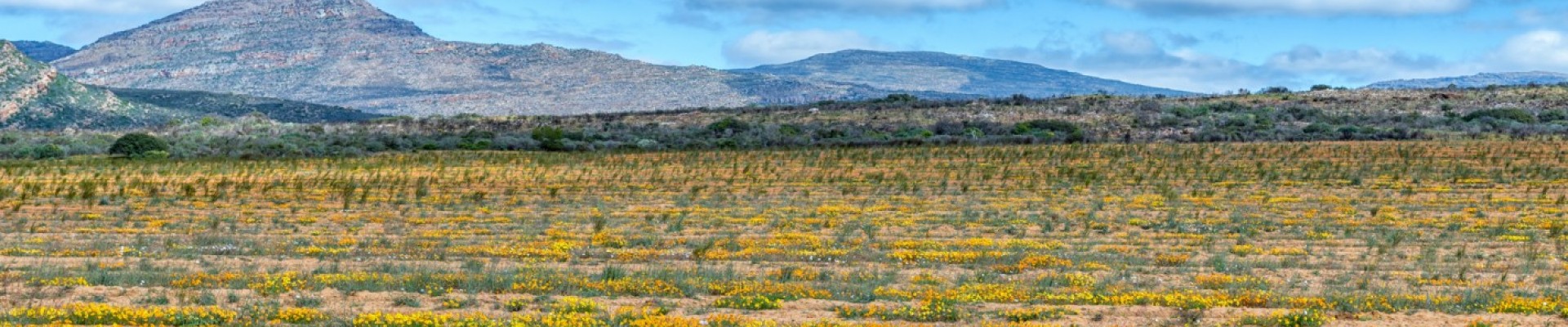 Namaqualand & Clanwilliam Escape (5 Days/4 Nights)