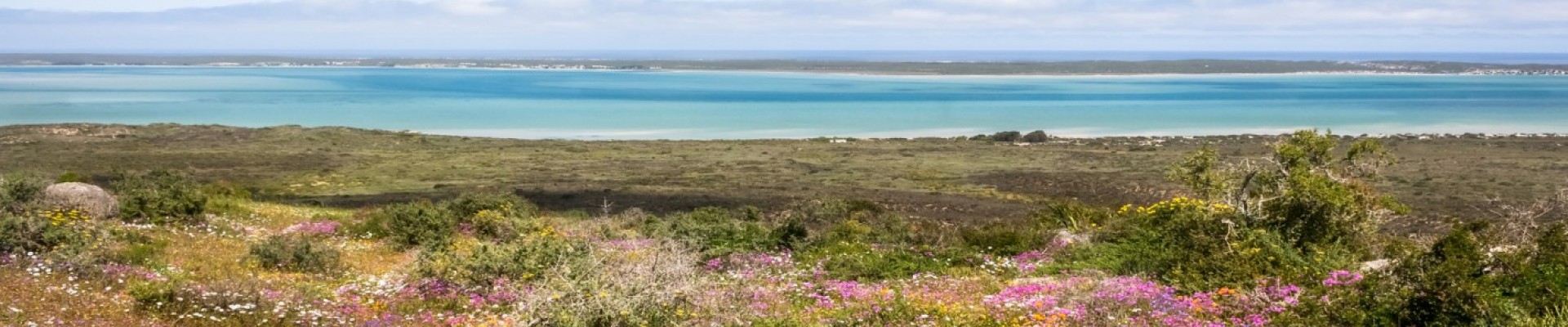 West Coast, Flowers & Cederberg Self-Drive Package (8 Days/7 Nights)