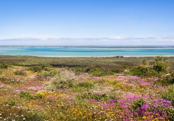 West Coast, Flowers & Cederberg Self-Drive Package (8 Days/7 Nights)