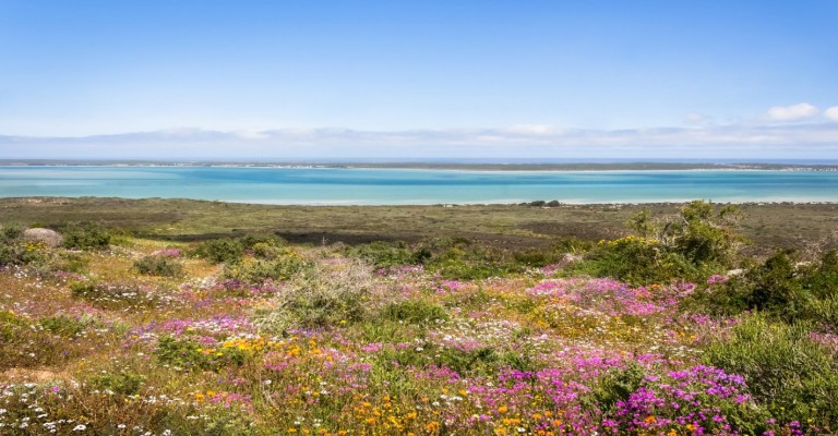 West Coast, Flowers & Cederberg Self-Drive Package (8 Days/7 Nights)
