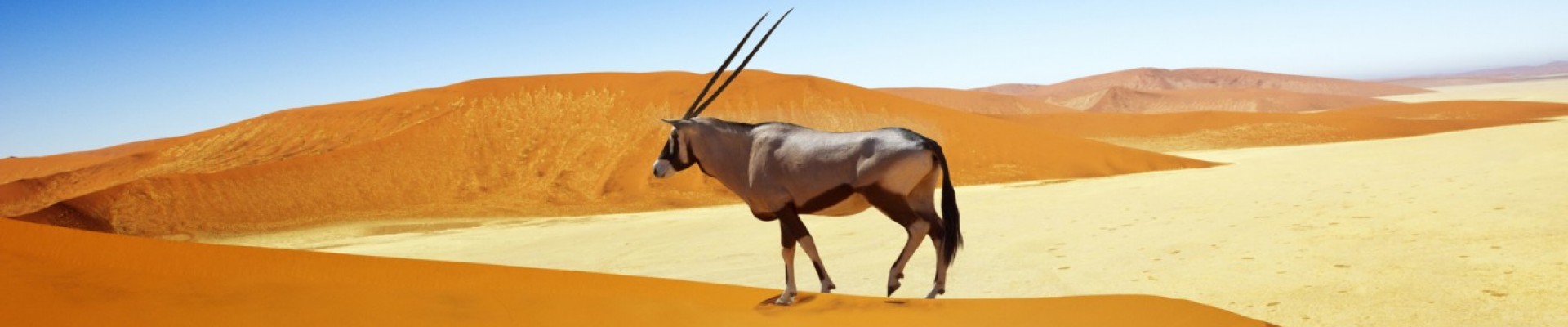 Namibia Sossusvlei Desert Adventure - 3 Days Guided Journey