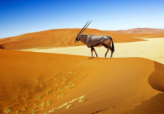 Namibia Sossusvlei Desert Adventure - 3 Days Guided Journey