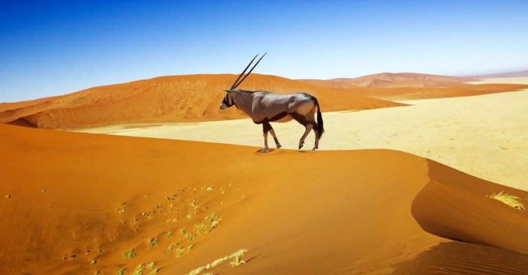 Namibia Sossusvlei Desert Adventure - 3 Days Guided Journey